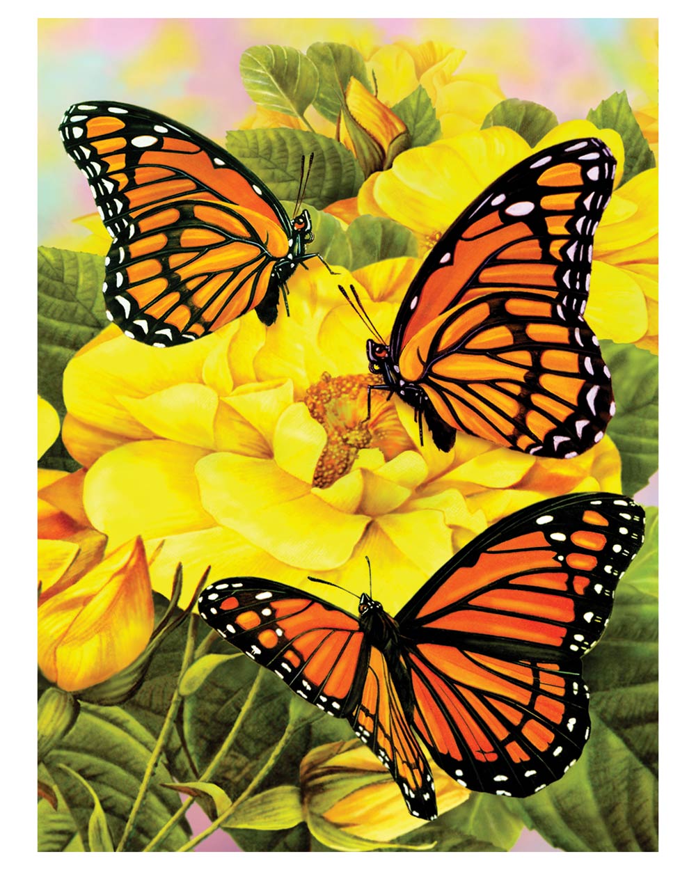 Painting By Numbers Kit Majestic Monarchs Butterflies Age 8+