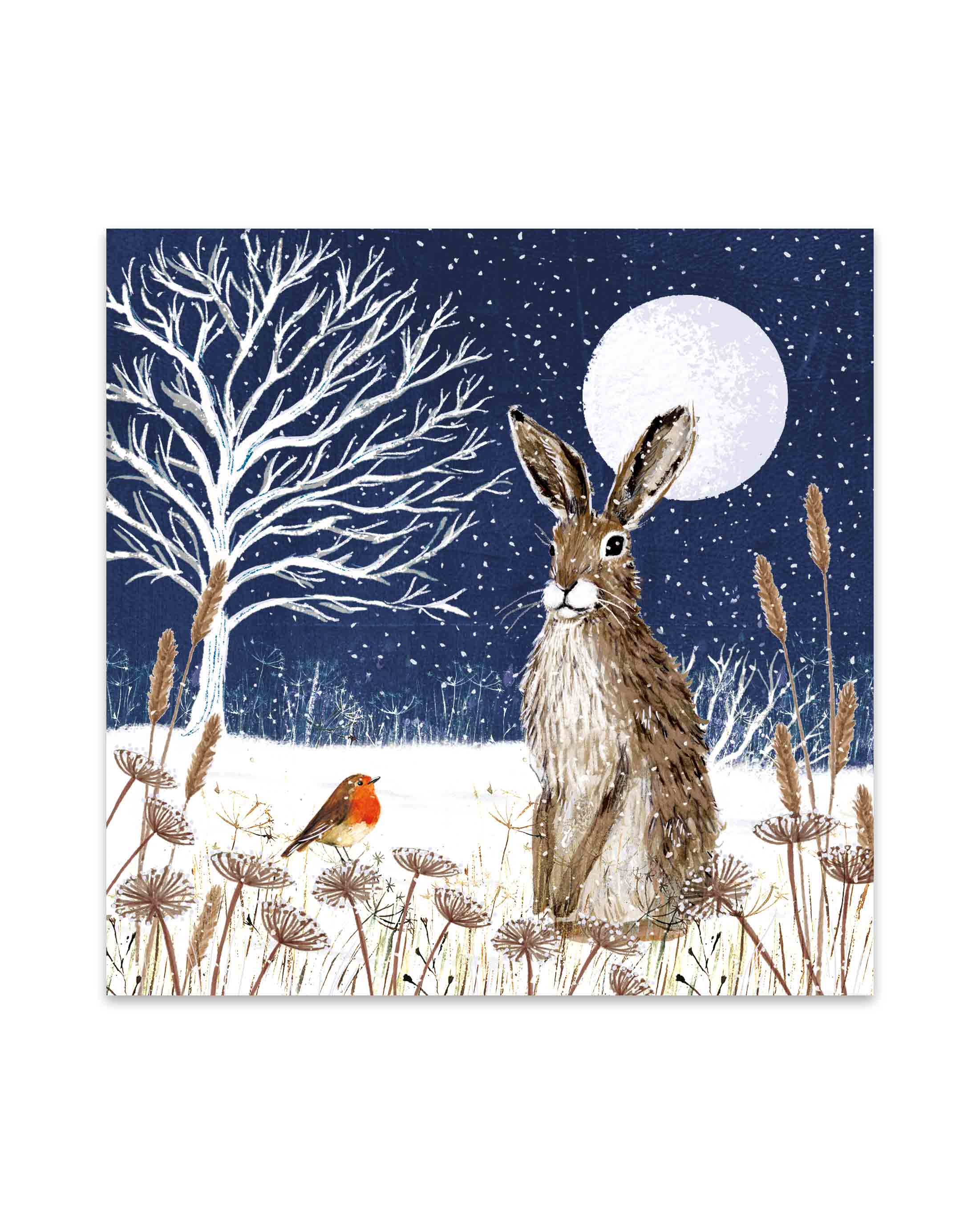 Charity Christmas Cards  Moonlit Hare 10 Pack