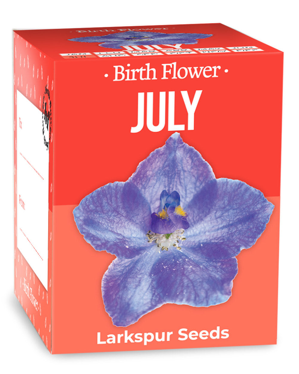 Grow Your Own July Birth Flower Gift Larkspur