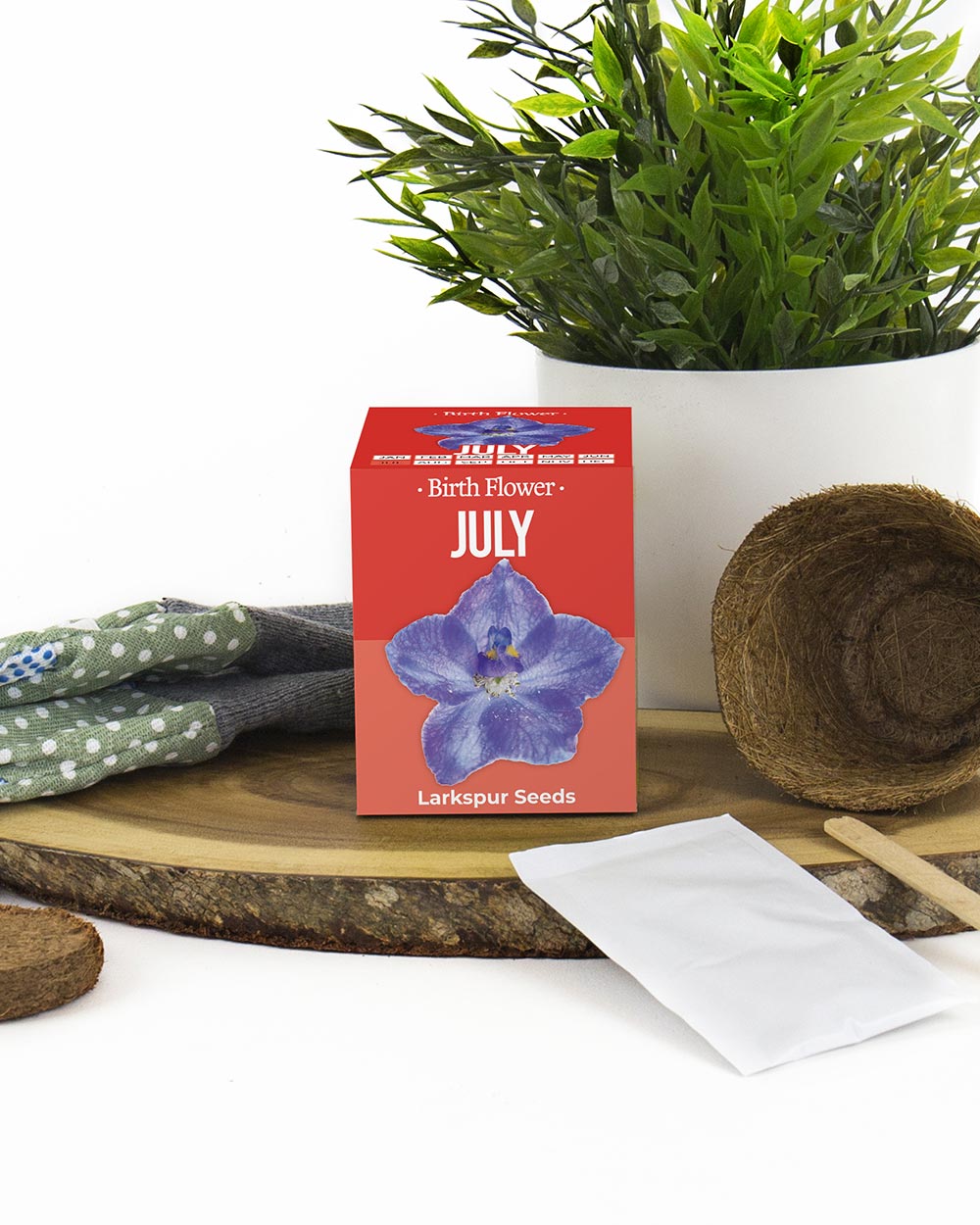Grow Your Own July Birth Flower Gift Larkspur