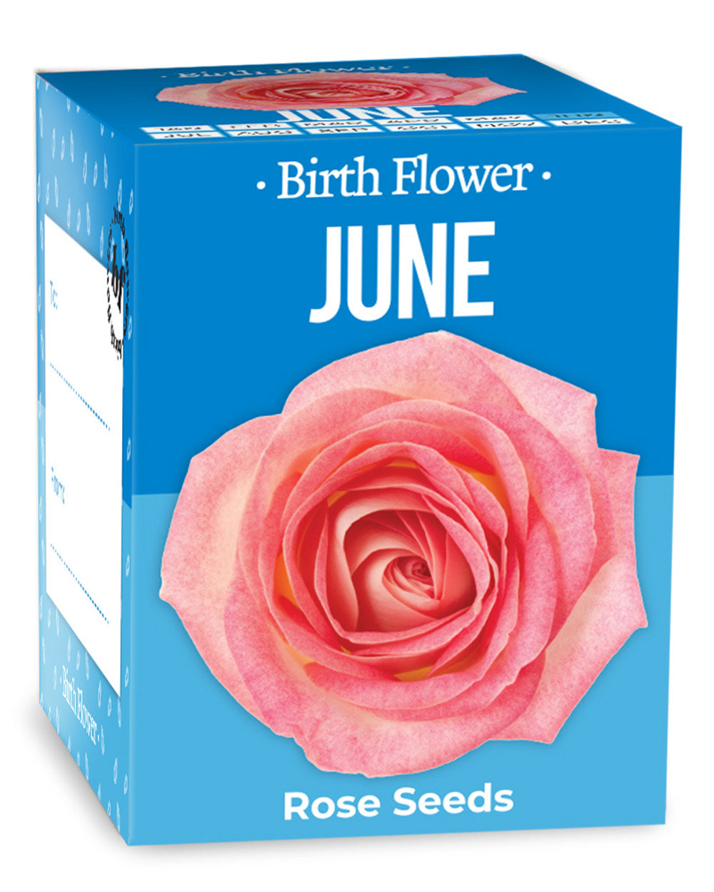 Grow Your Own June Birth Flower Gift Rose