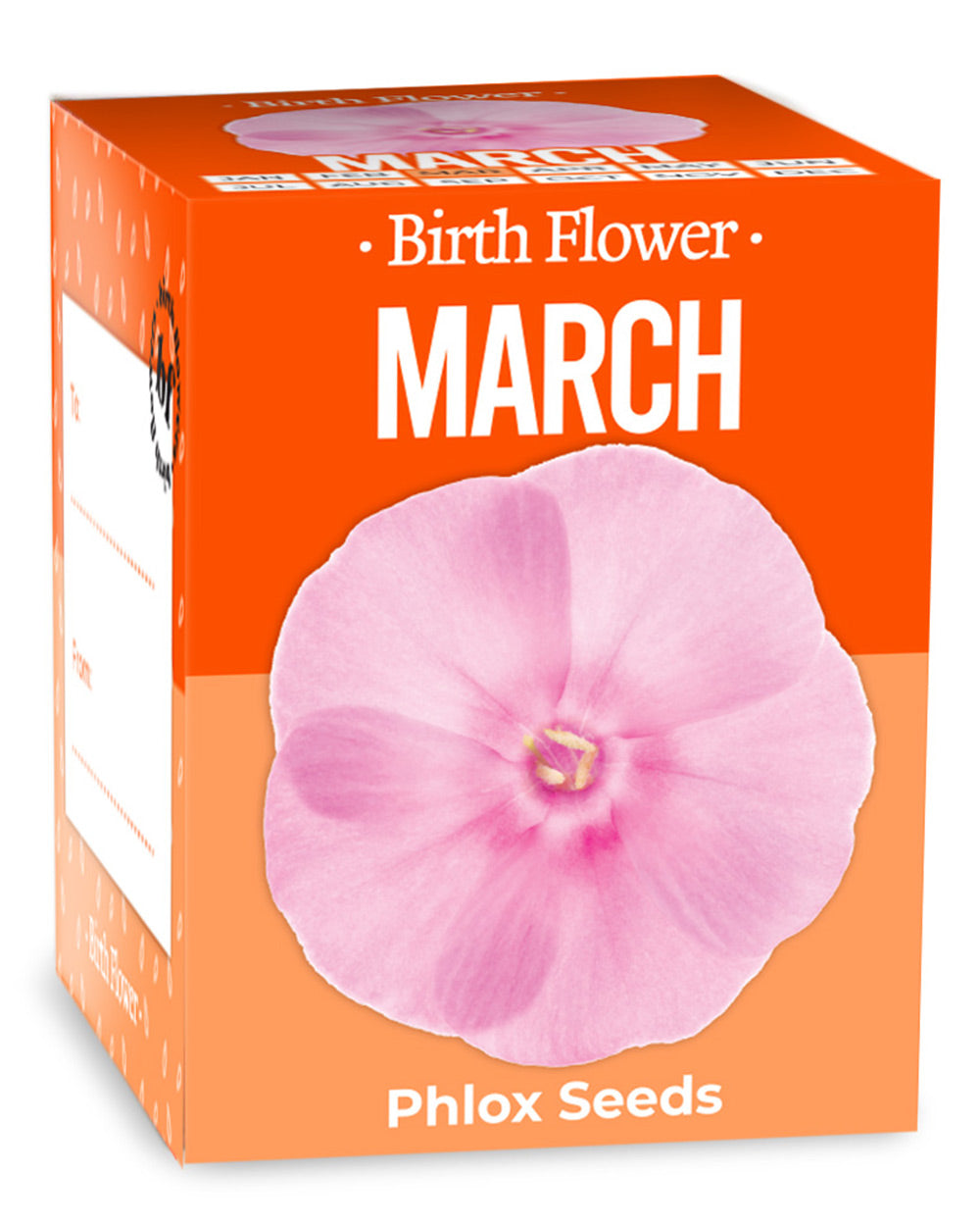 Grow Your Own March Birth Flower Gift Phlox