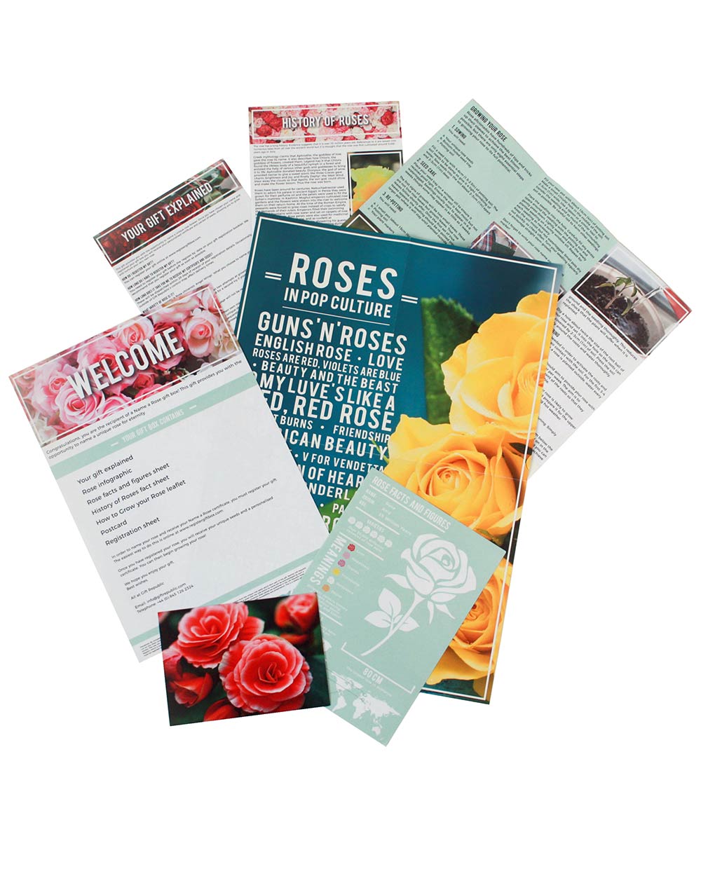 Name A Rose Gift Tin Personalise