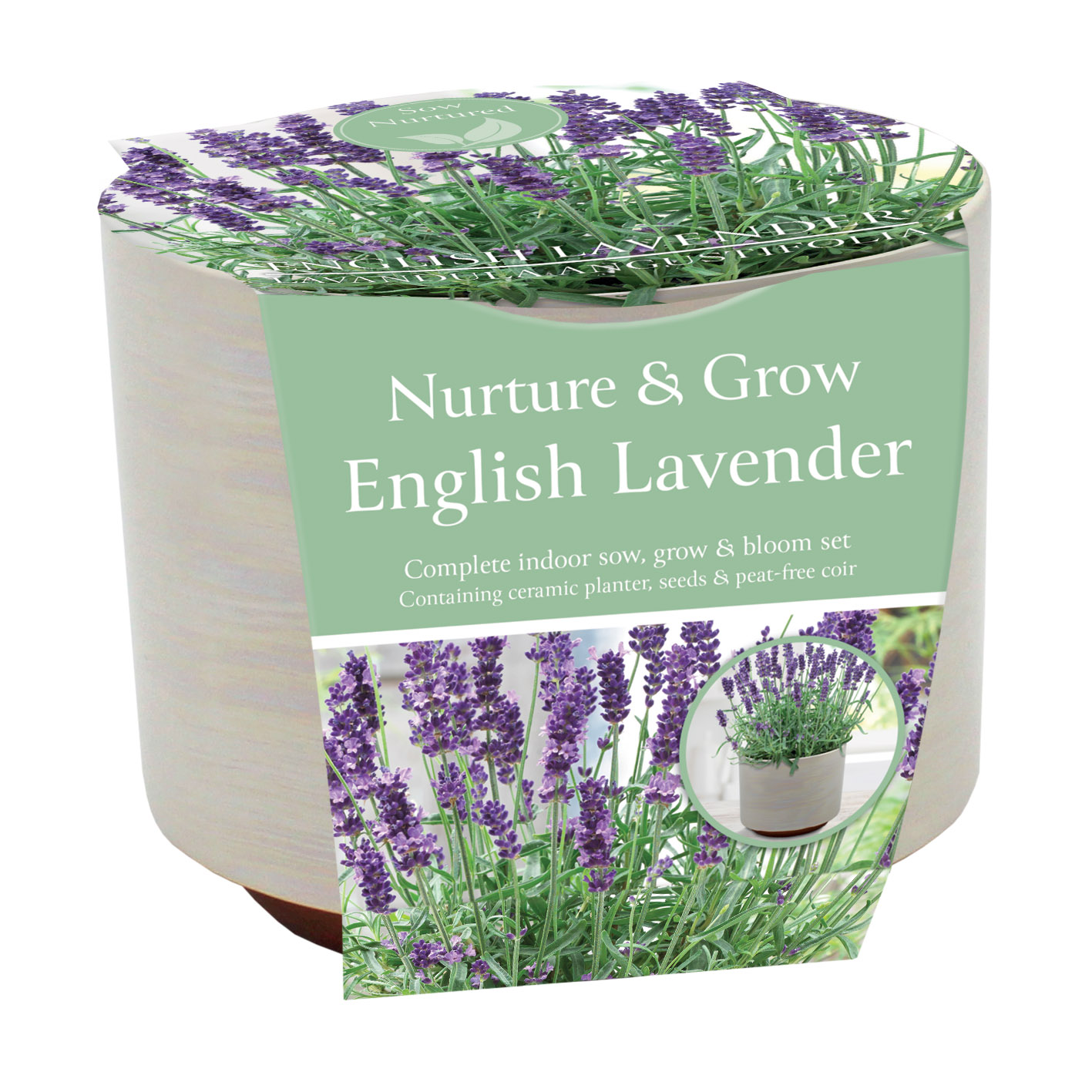 Nurture & Grow English  Lavender With Ceramic Pot