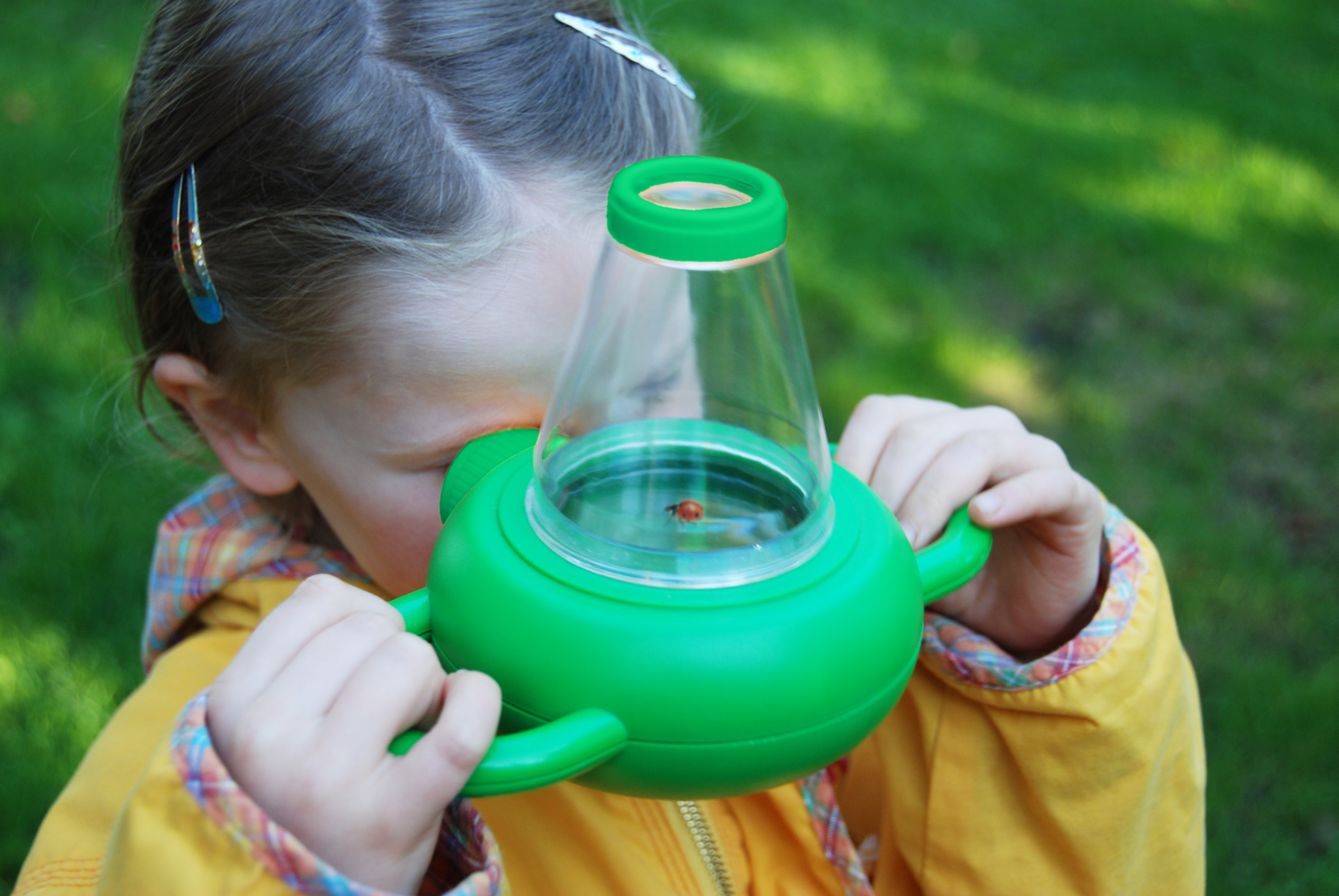 Childrens Insect Study Box Green
