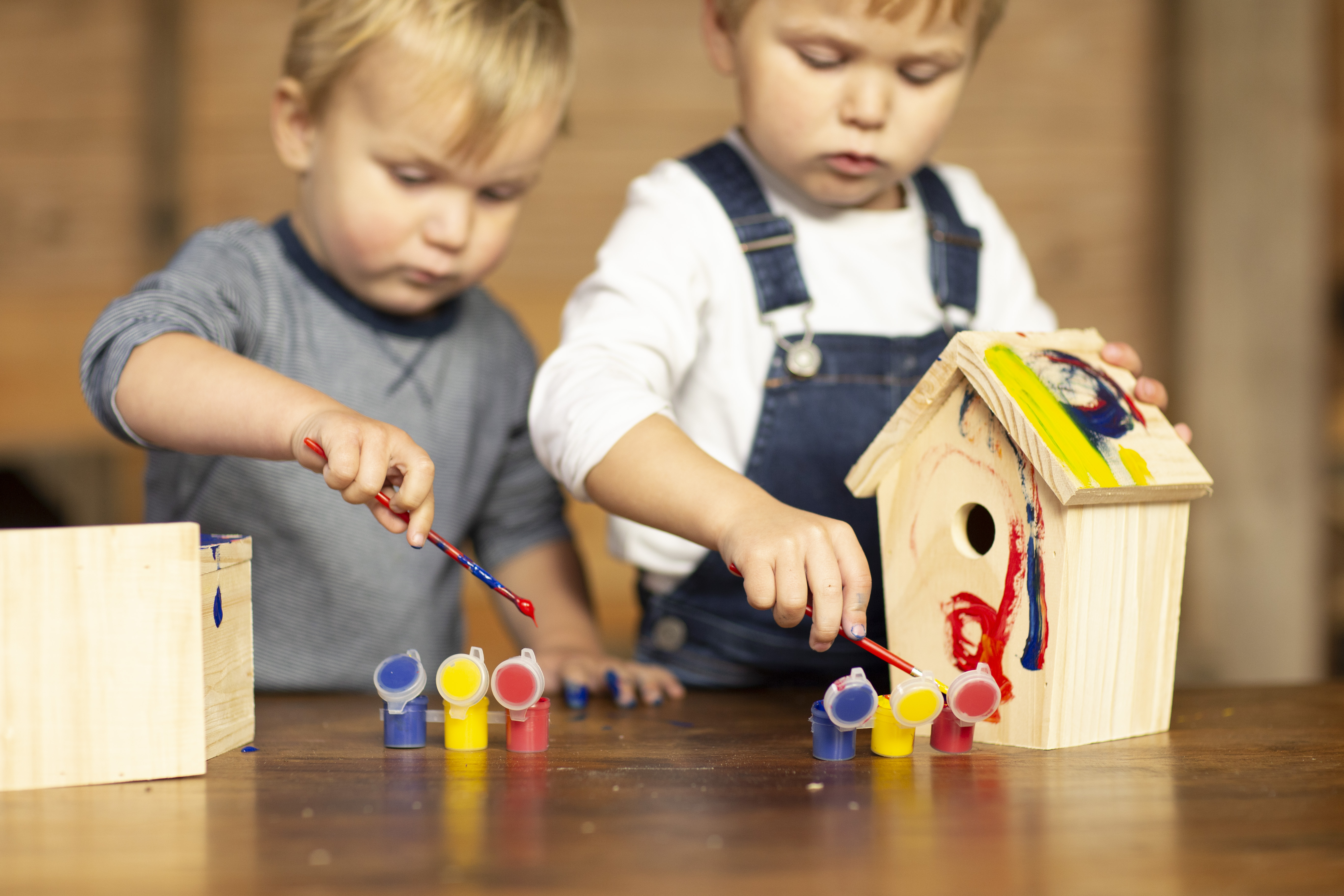 Childrens Paint Your Own Nest Box 