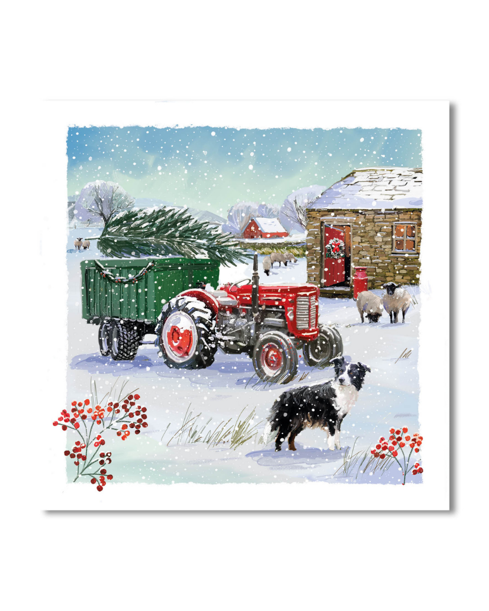 Charity Christmas Cards 10 Pack Christmas on the Farm