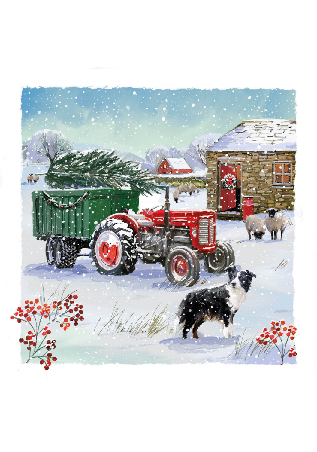 Charity Christmas Cards 10 Pack Christmas on the Farm