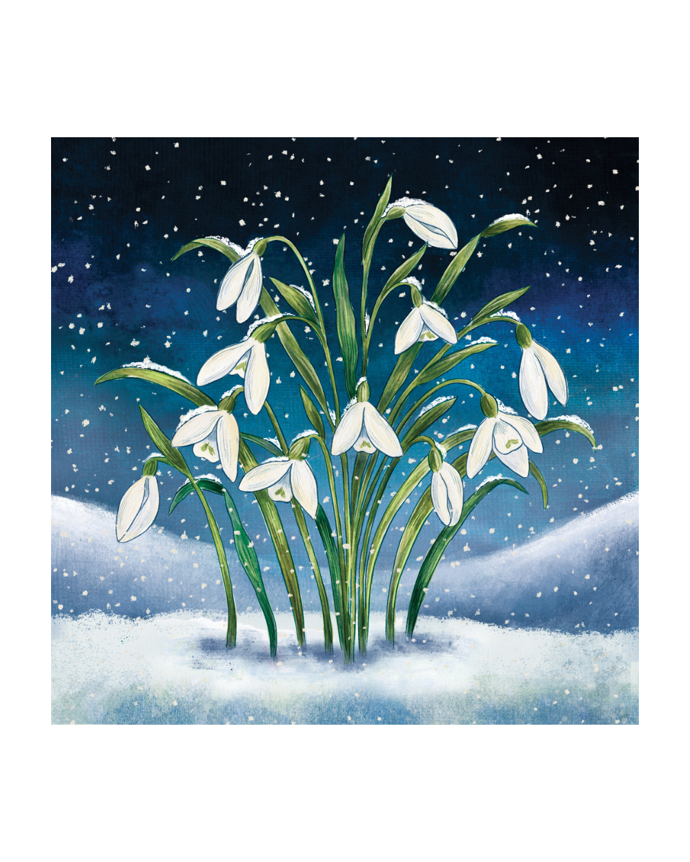 Charity Christmas Cards 10 Pack Snowdrops