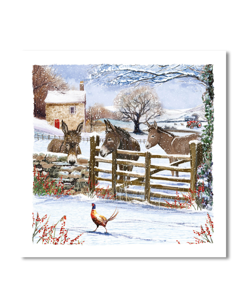 Charity Christmas Cards 10 Pack Donkey