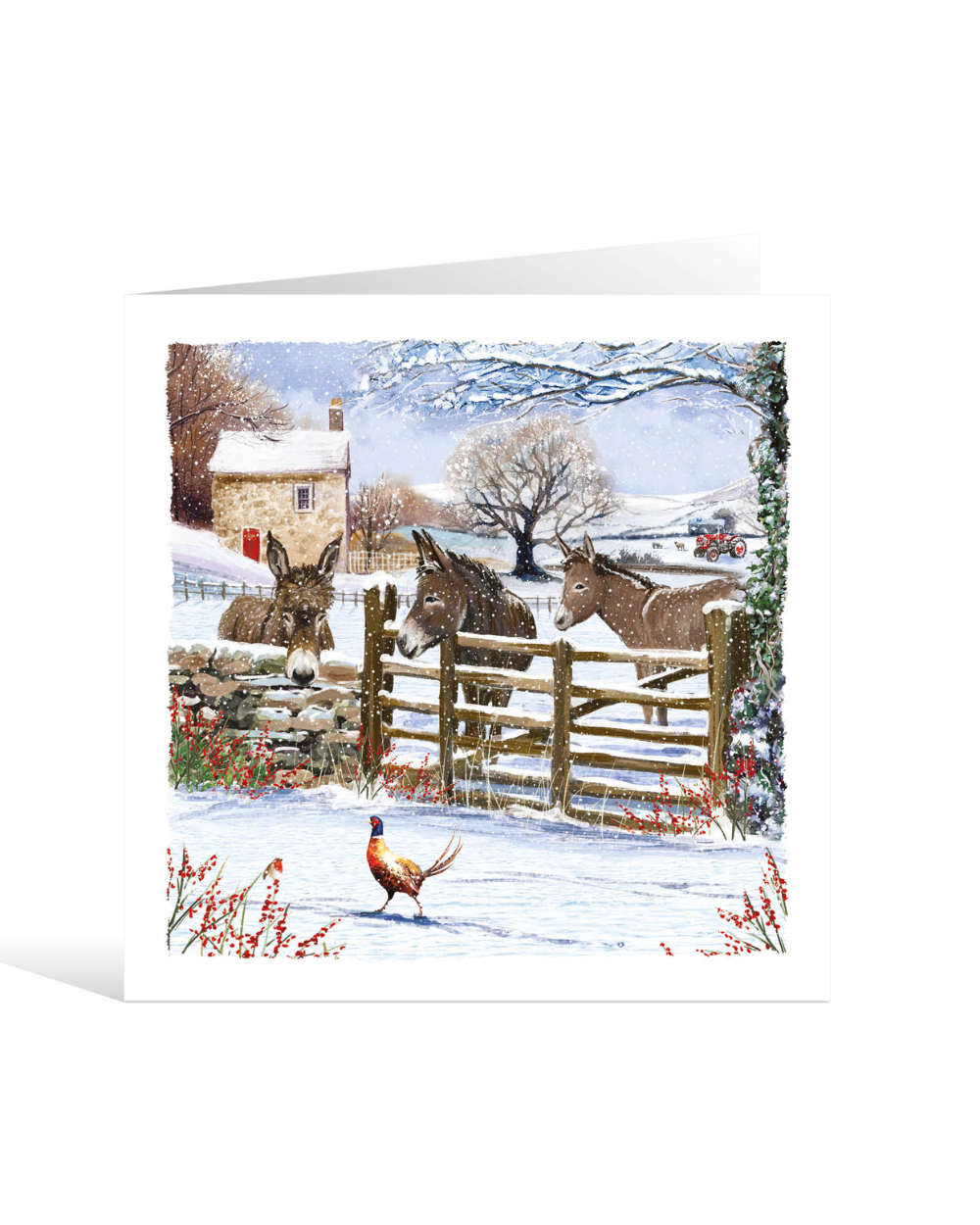 Charity Christmas Cards 10 Pack Donkey