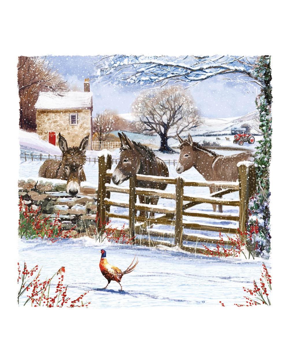 Charity Christmas Cards 10 Pack Donkey