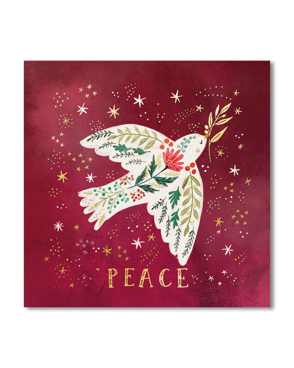 Charity Christmas Cards 10 Pack Dove Peace