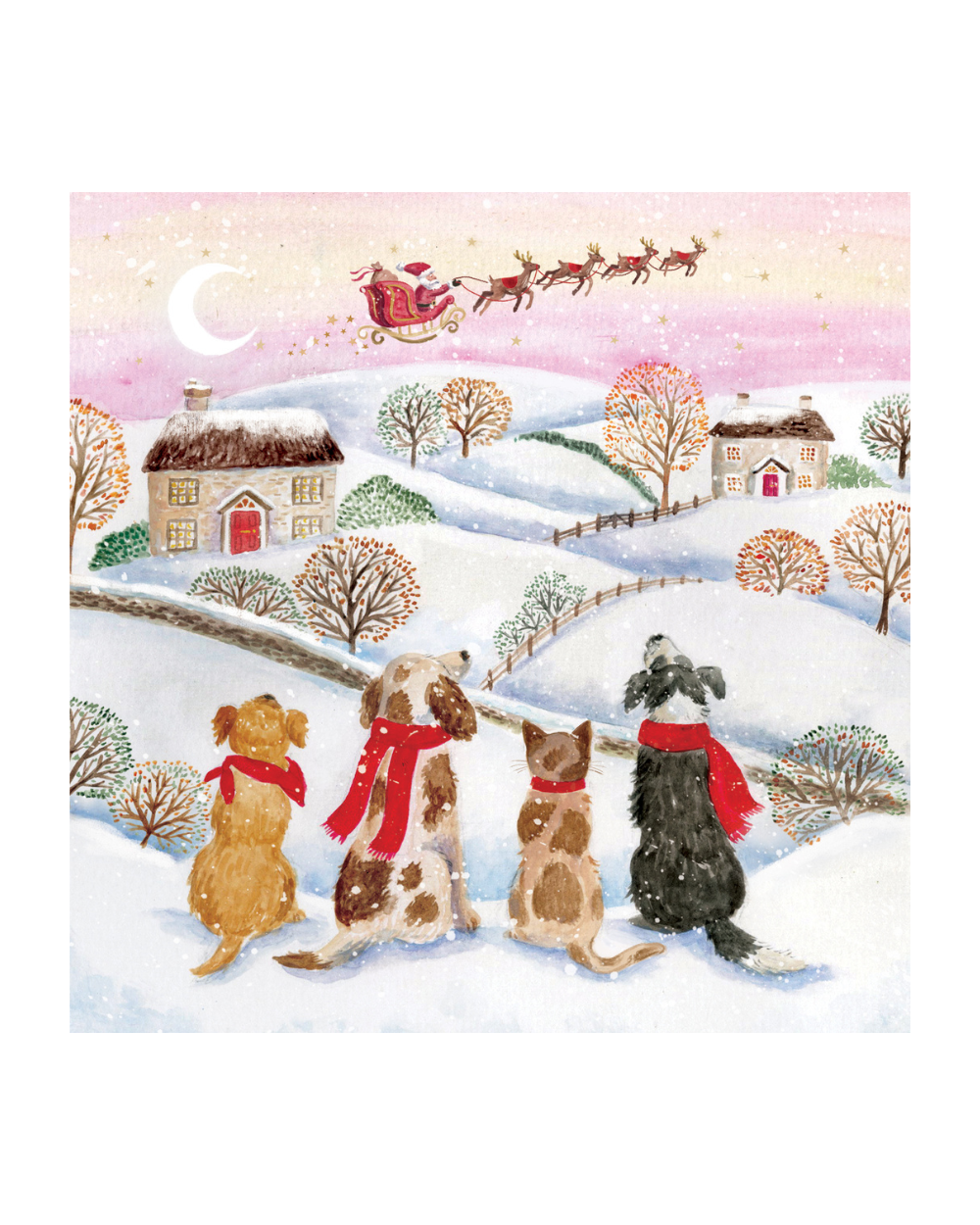 Charity Christmas Cards 10 Pack Pets & Santa