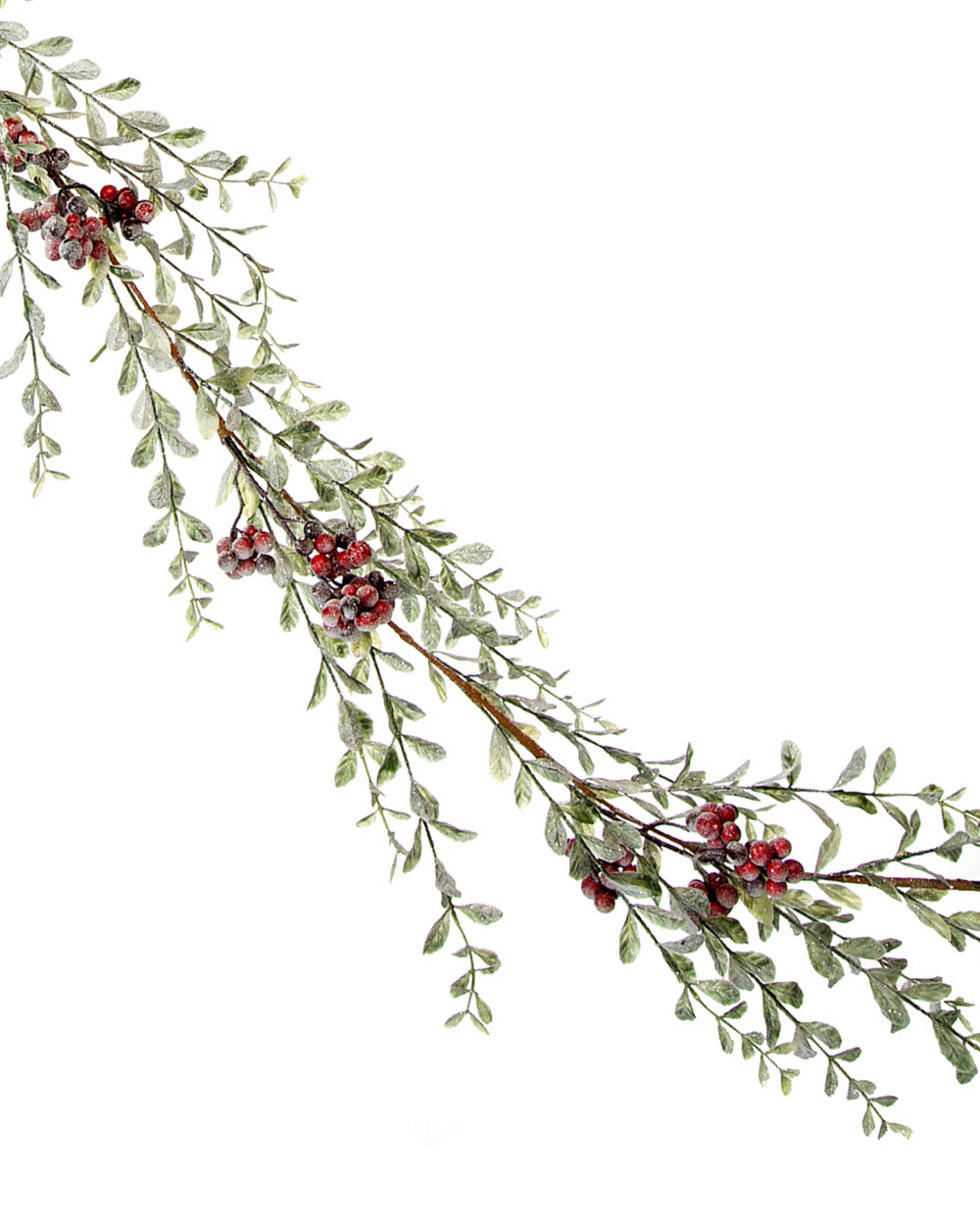 Frosted Green Pittosporum Garland 183cm