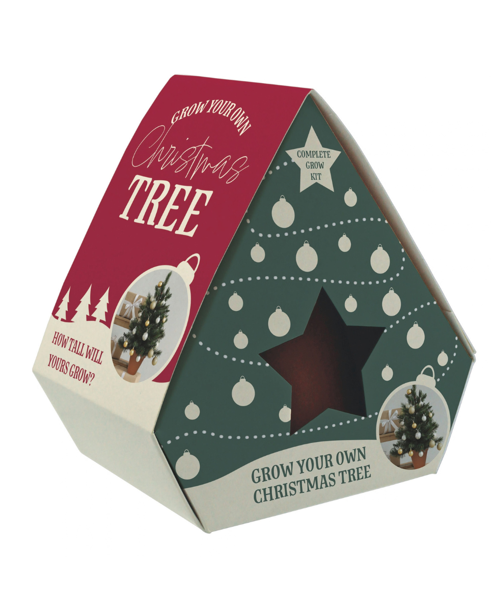 Grow Your Own Christmas Tree