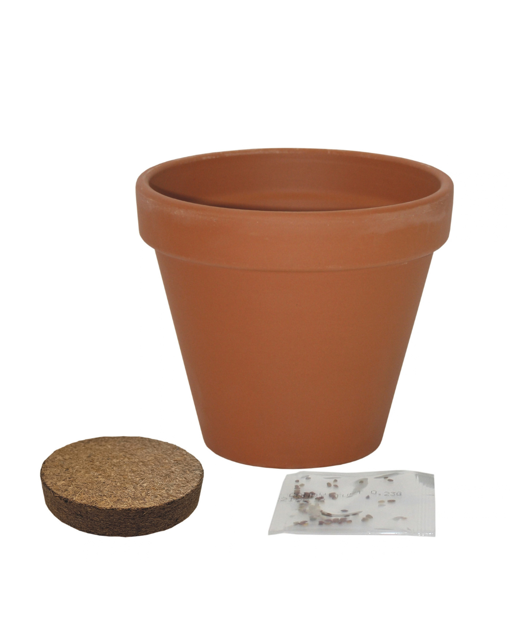 Grow Your Own Christmas Tree