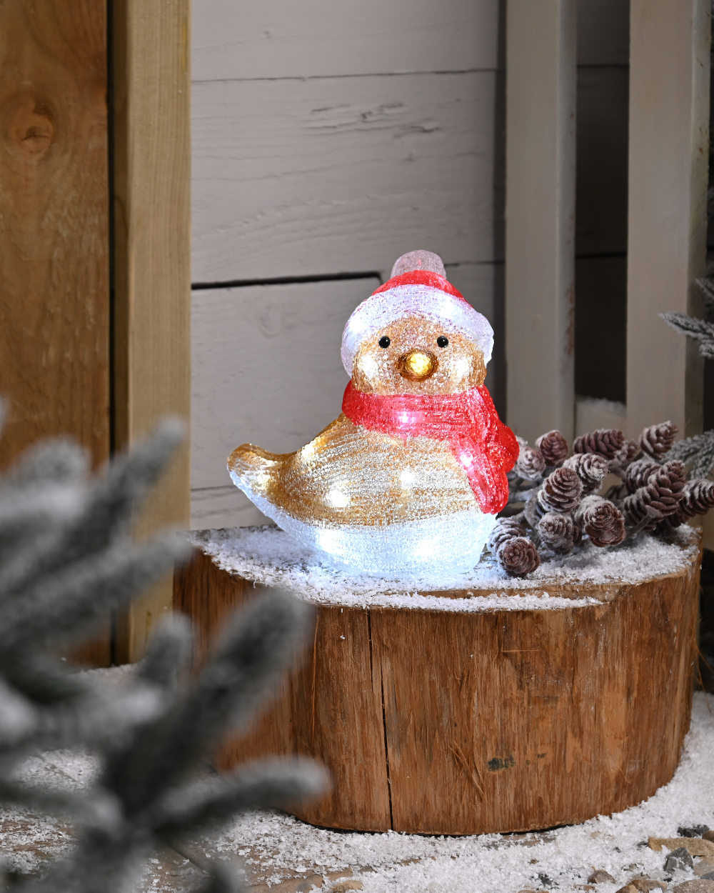 Christmas Robin Acrylic Light Outdoor 19cm