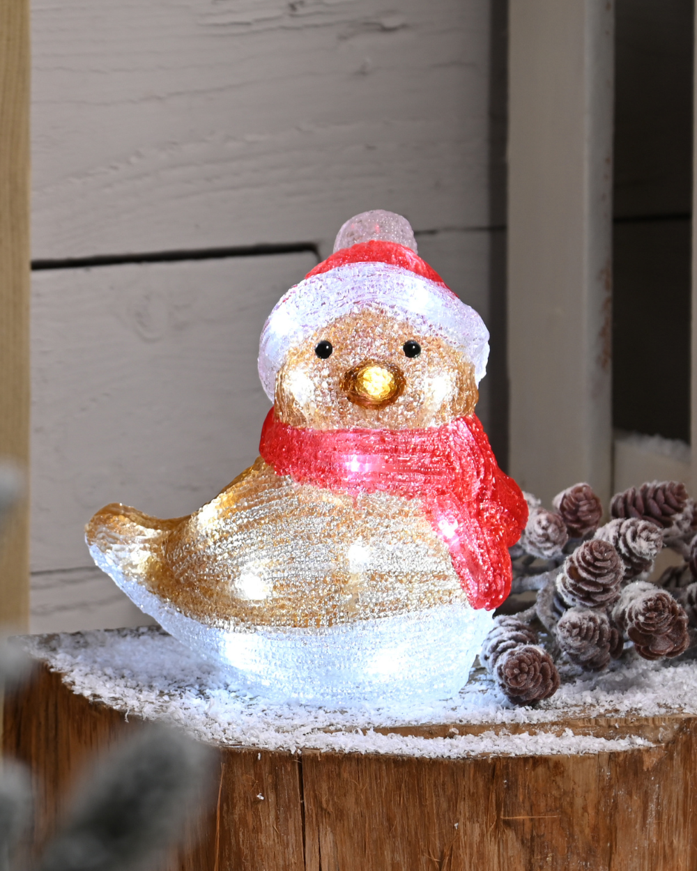 Christmas Robin Acrylic Light Outdoor 19cm
