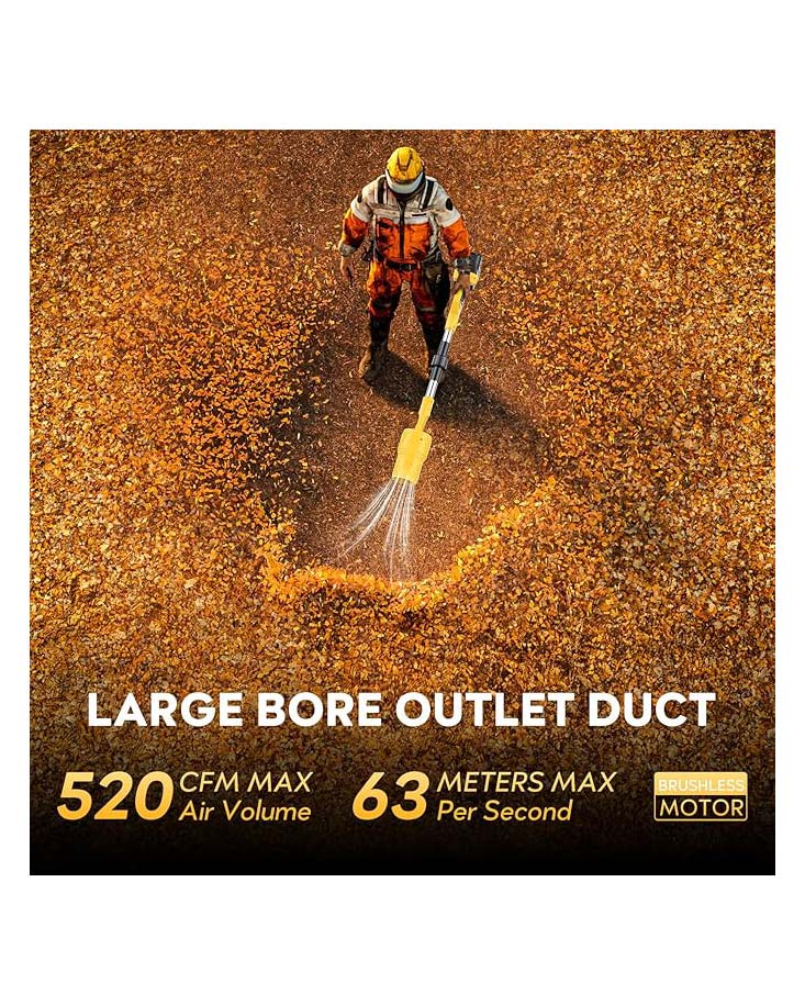 Leaf Blower 21v Cordless Variable Speed