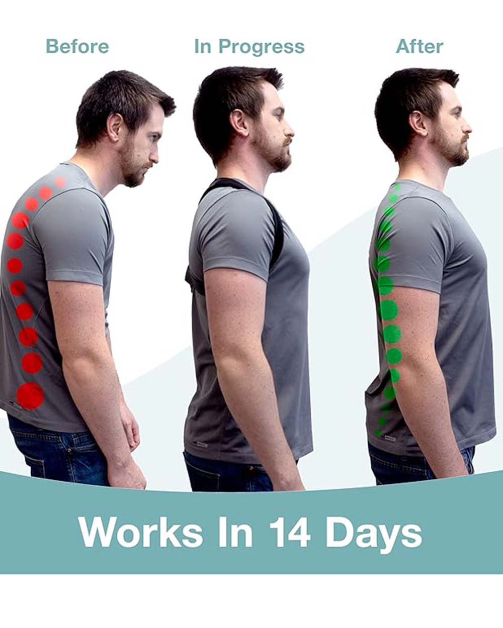 The Restored Back Posture Corrector for Men and Women