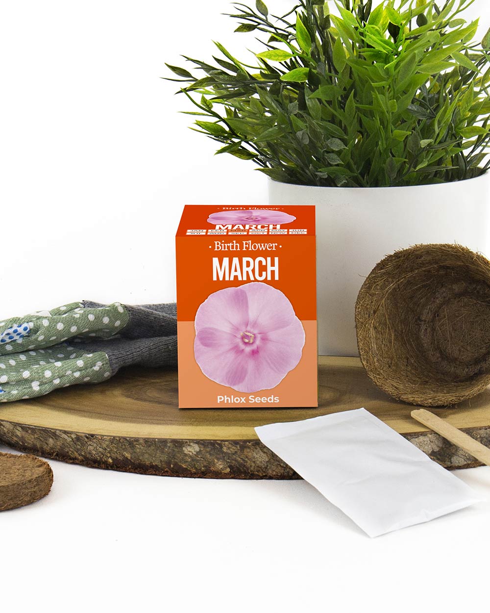 Grow Your Own March Birth Flower Gift Phlox