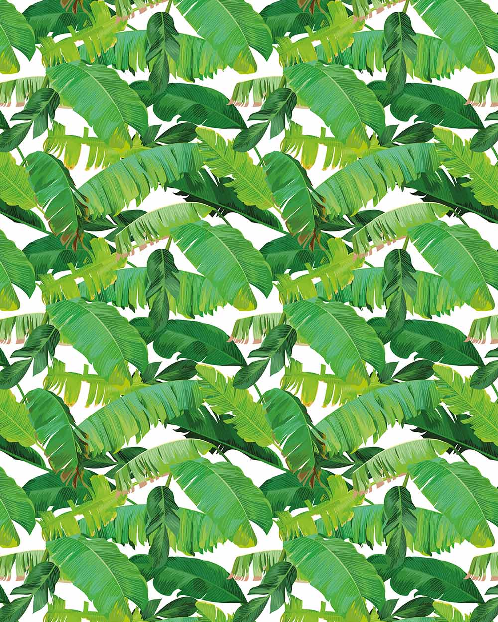 gift wrapping paper set tropical leaf FSC recyclable UK tags friends birthday occasions