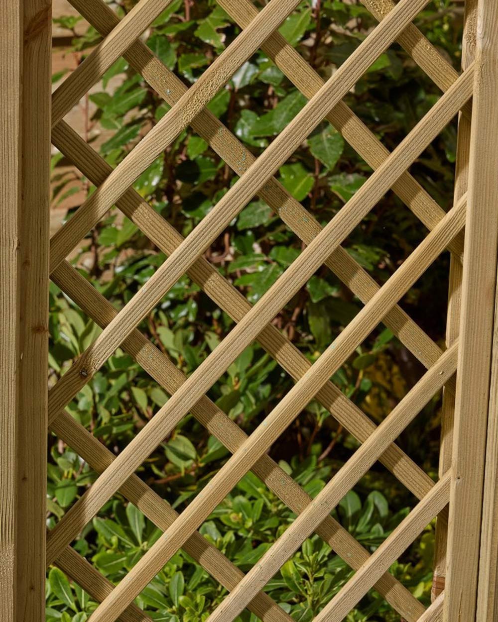Wide Garden Arch Broadway Pergola Rowlinson