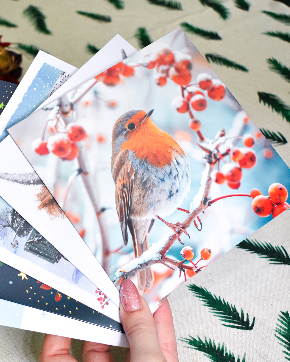 Charity Christmas Cards 10 Pack Winter Robin