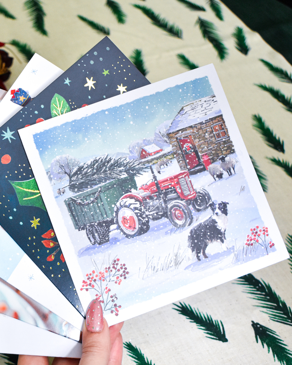 Charity Christmas Cards 10 Pack Christmas on the Farm