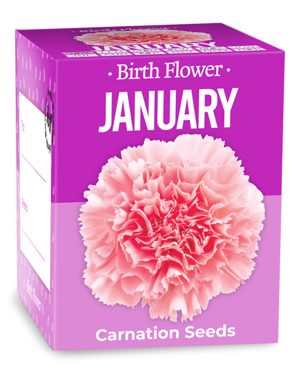 Grow Your Own January Birth Flower Gift Carnation