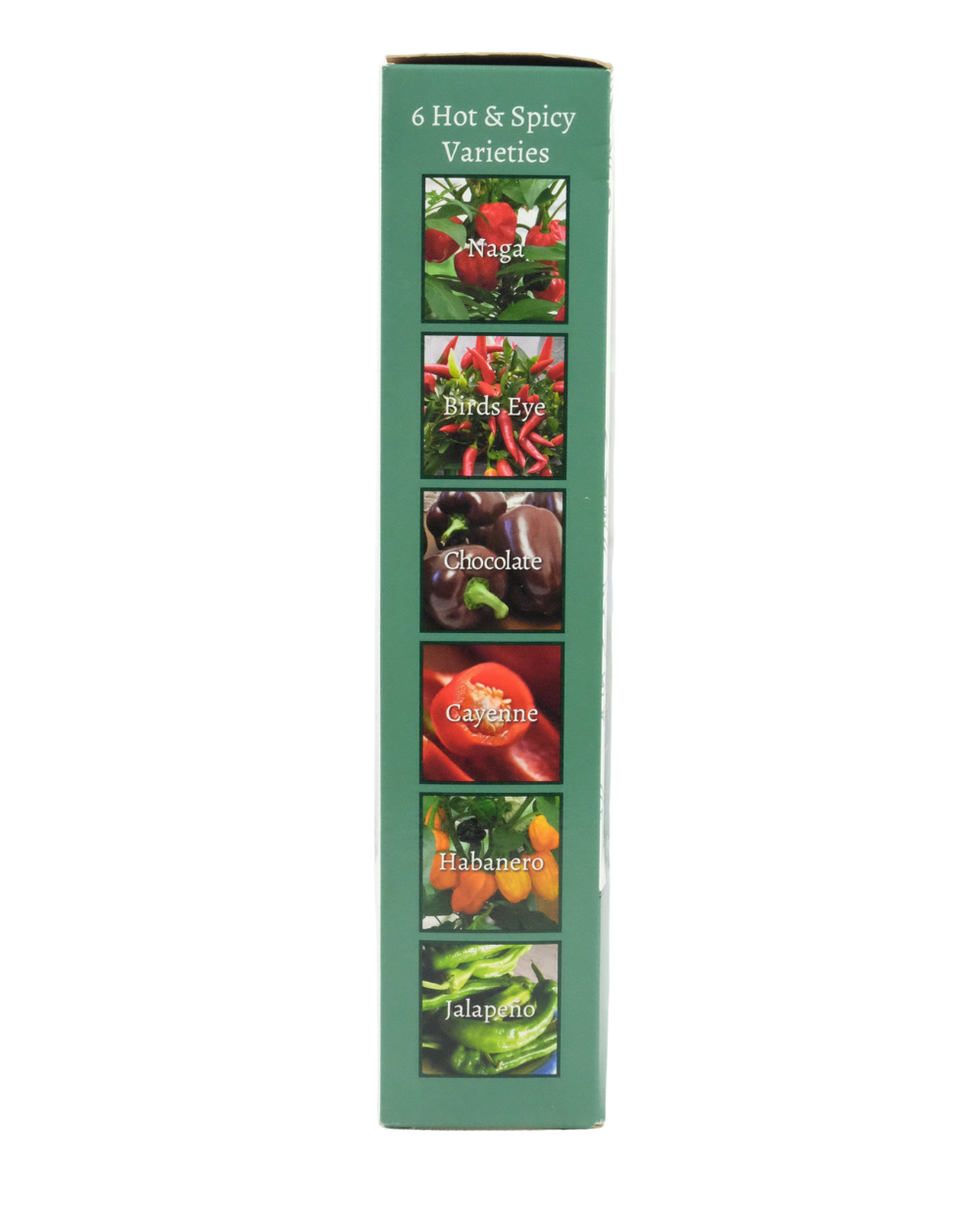 Grow Your Own Red Hot Chilli Kit
