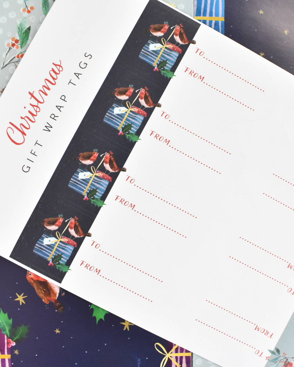 Robin Friends Christmas Gift Wrap Set