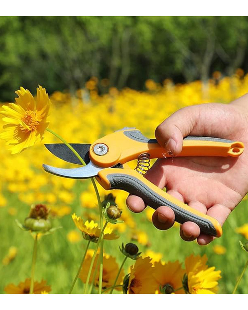 AIRJA Proffessional Garden Shears and Hedge Clippers Set