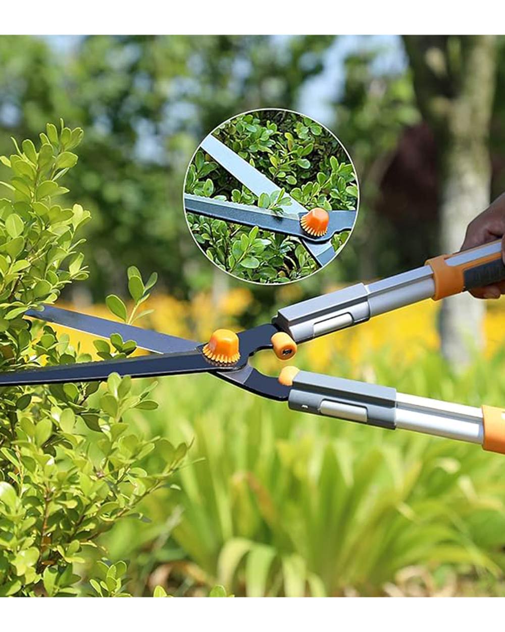 AIRJA Proffessional Garden Shears and Hedge Clippers Set